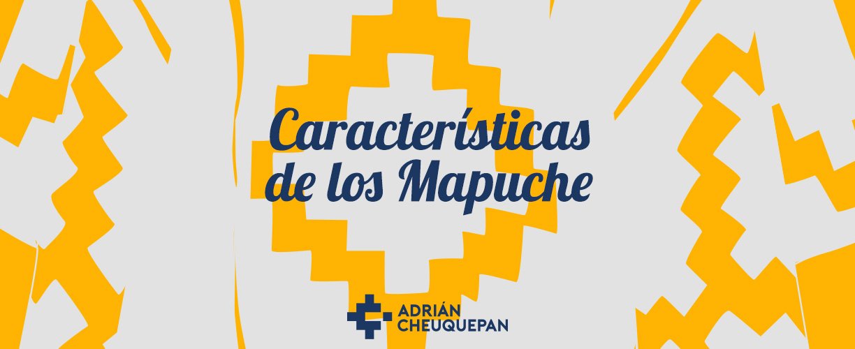 los mapuche y sus caracteristicas
