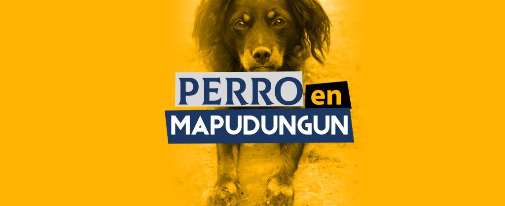 Perro en mapuche