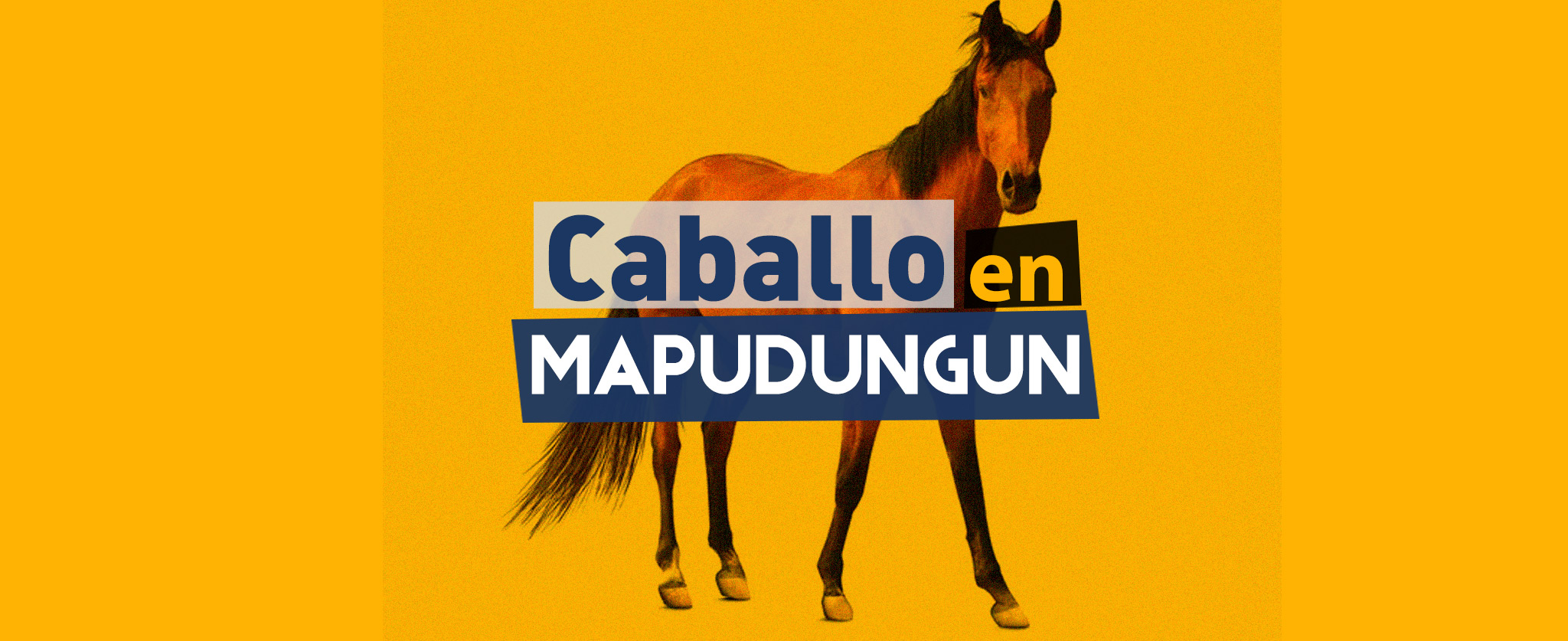 caballo en idioma mapuche