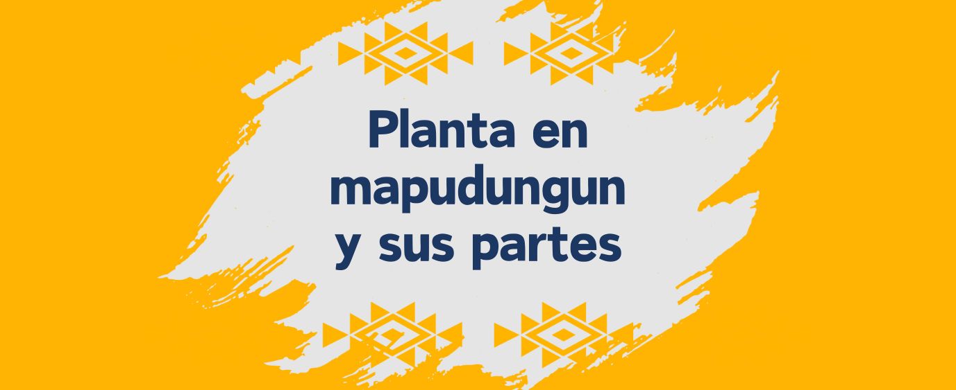 partes de la planta en mapudungun